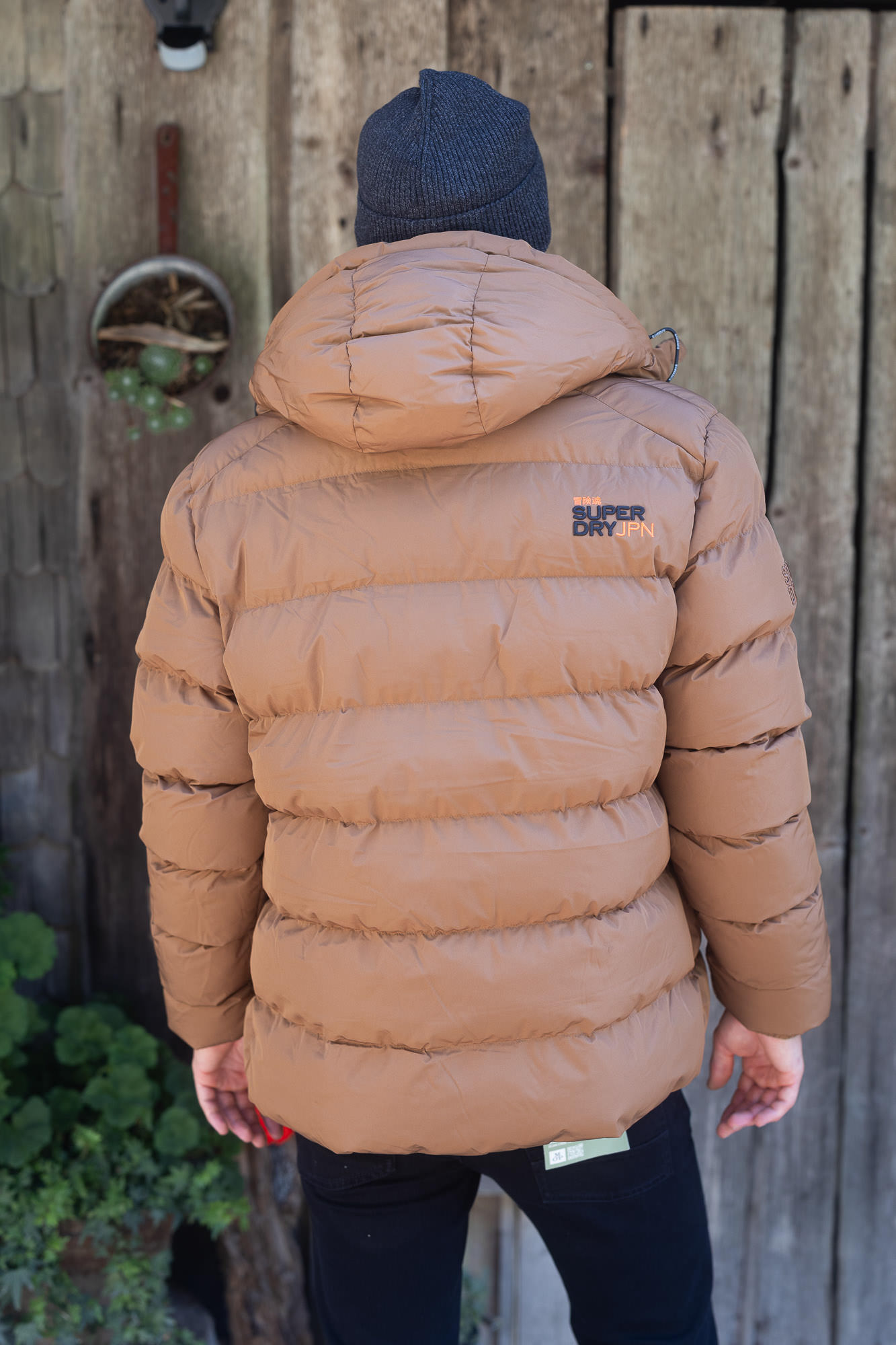 Winterjacke von Superdry 