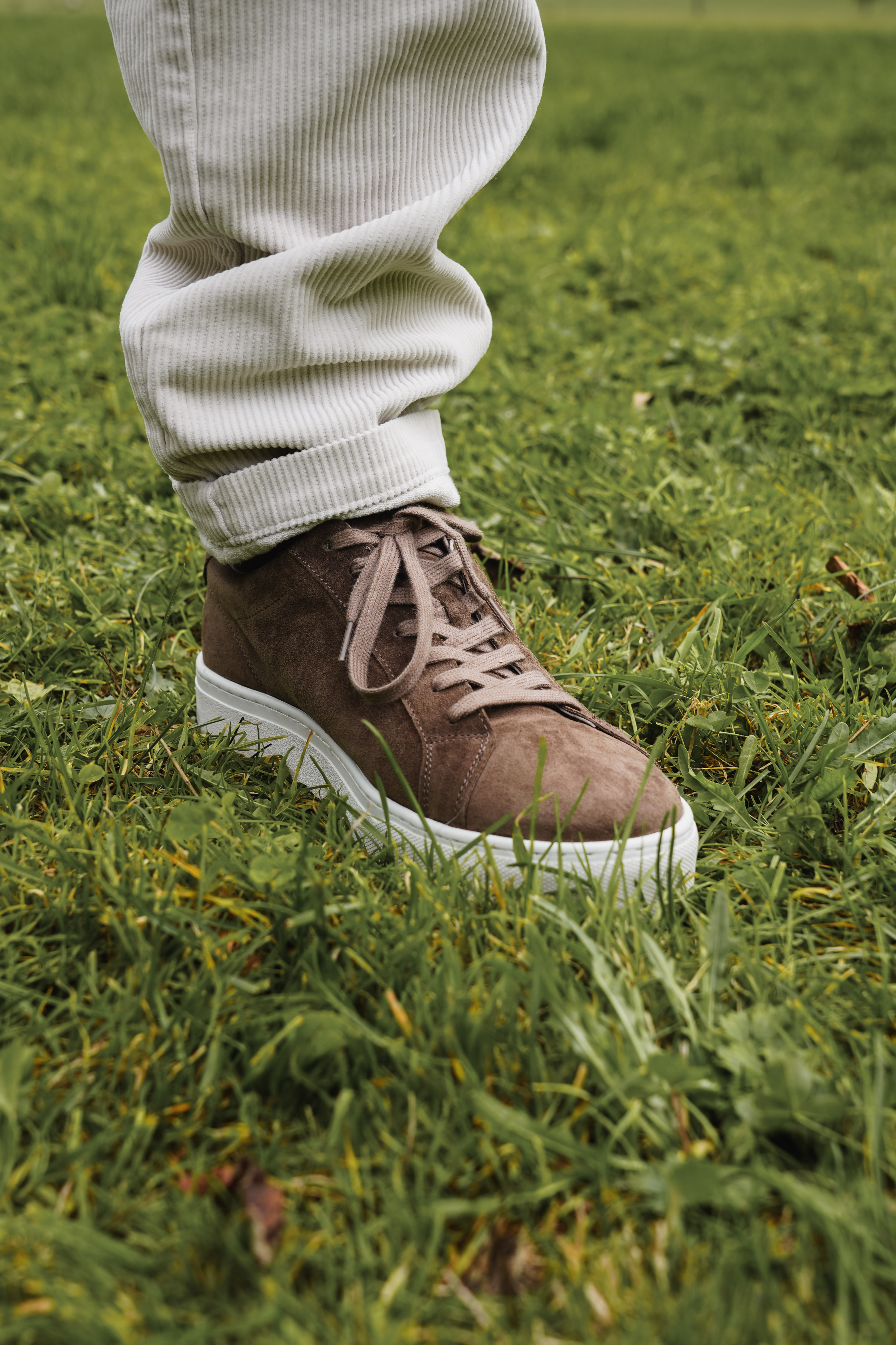 Sneaker von Marc O`Polo
