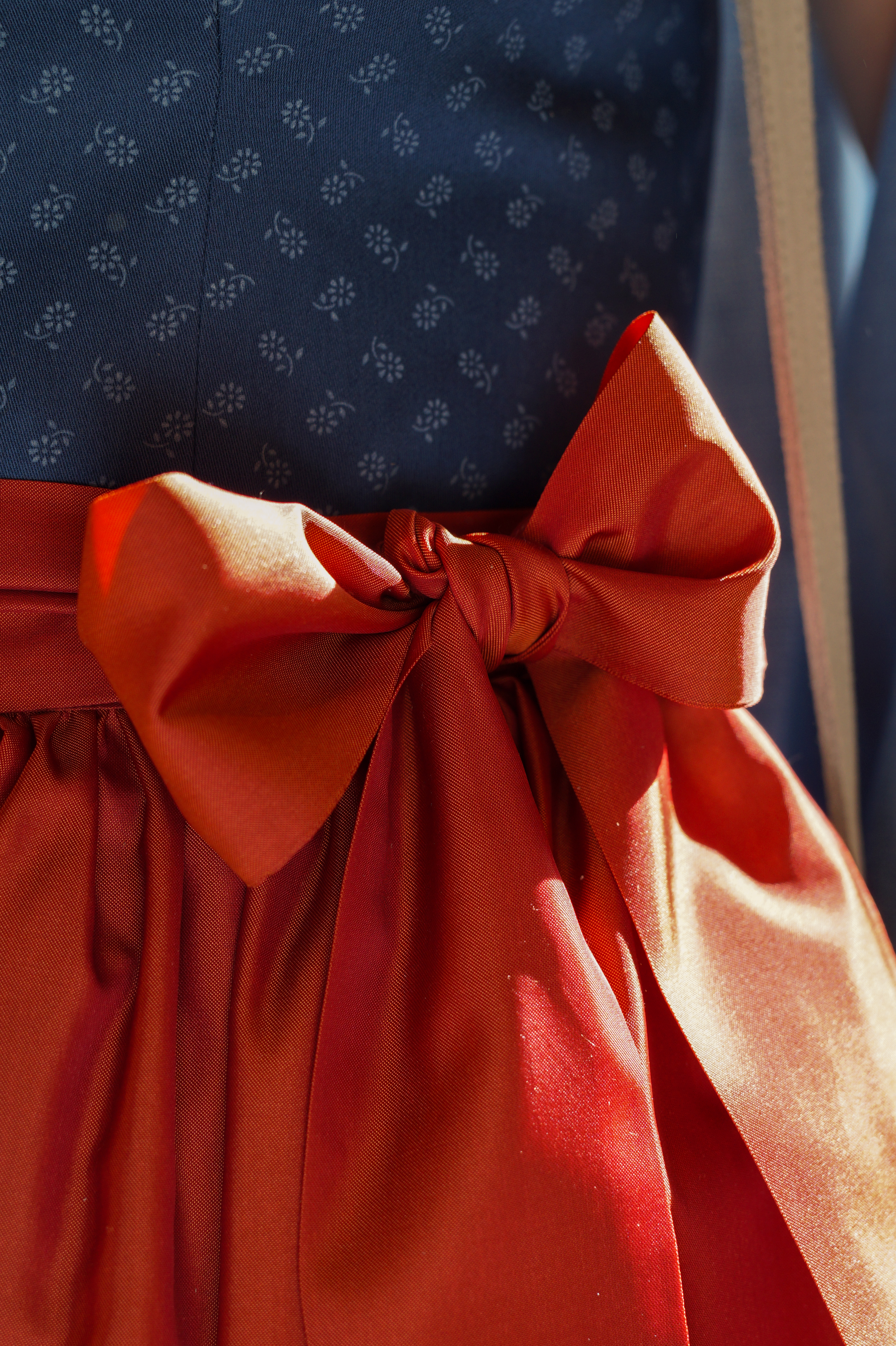 Dirndl von Quehenberger Tracht