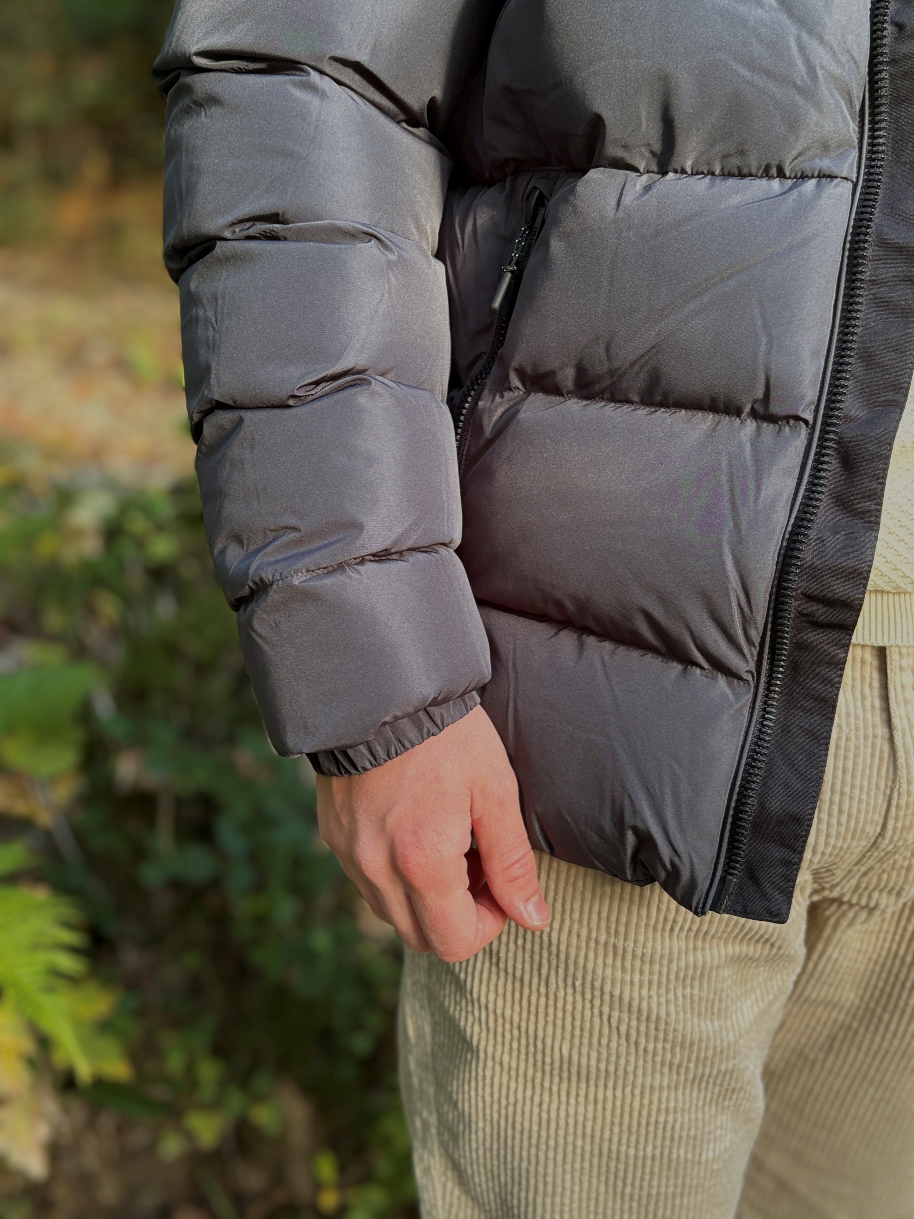 Winterjacke von Superdry 